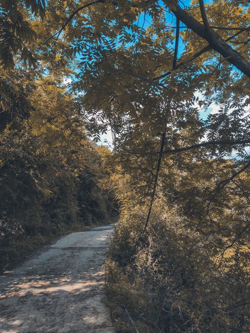 Free Country Road 1 Stock Photo