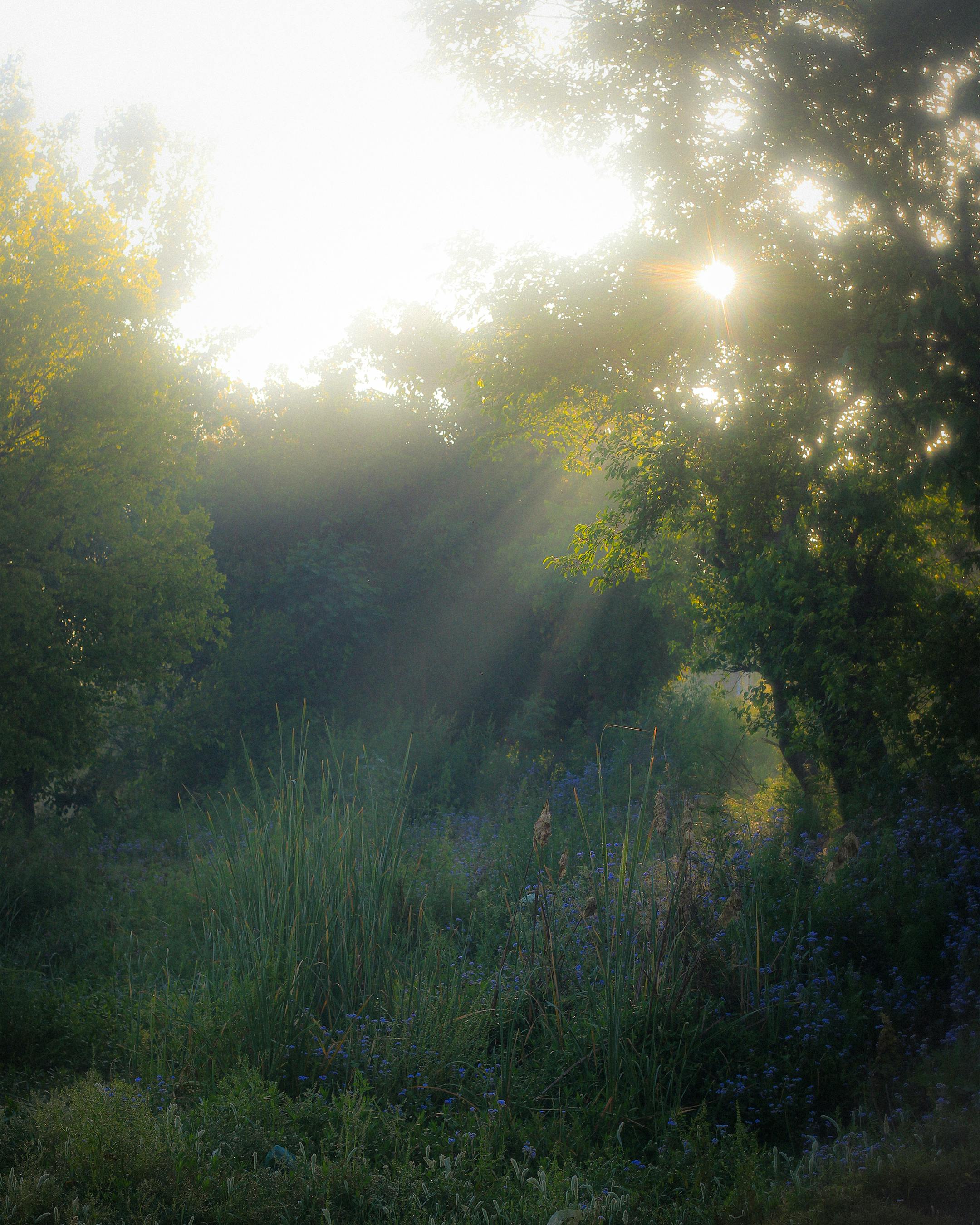 Foto Profissional Gratuita De Aldeia, Aldeias, Alvorecer, Amanhecer ...