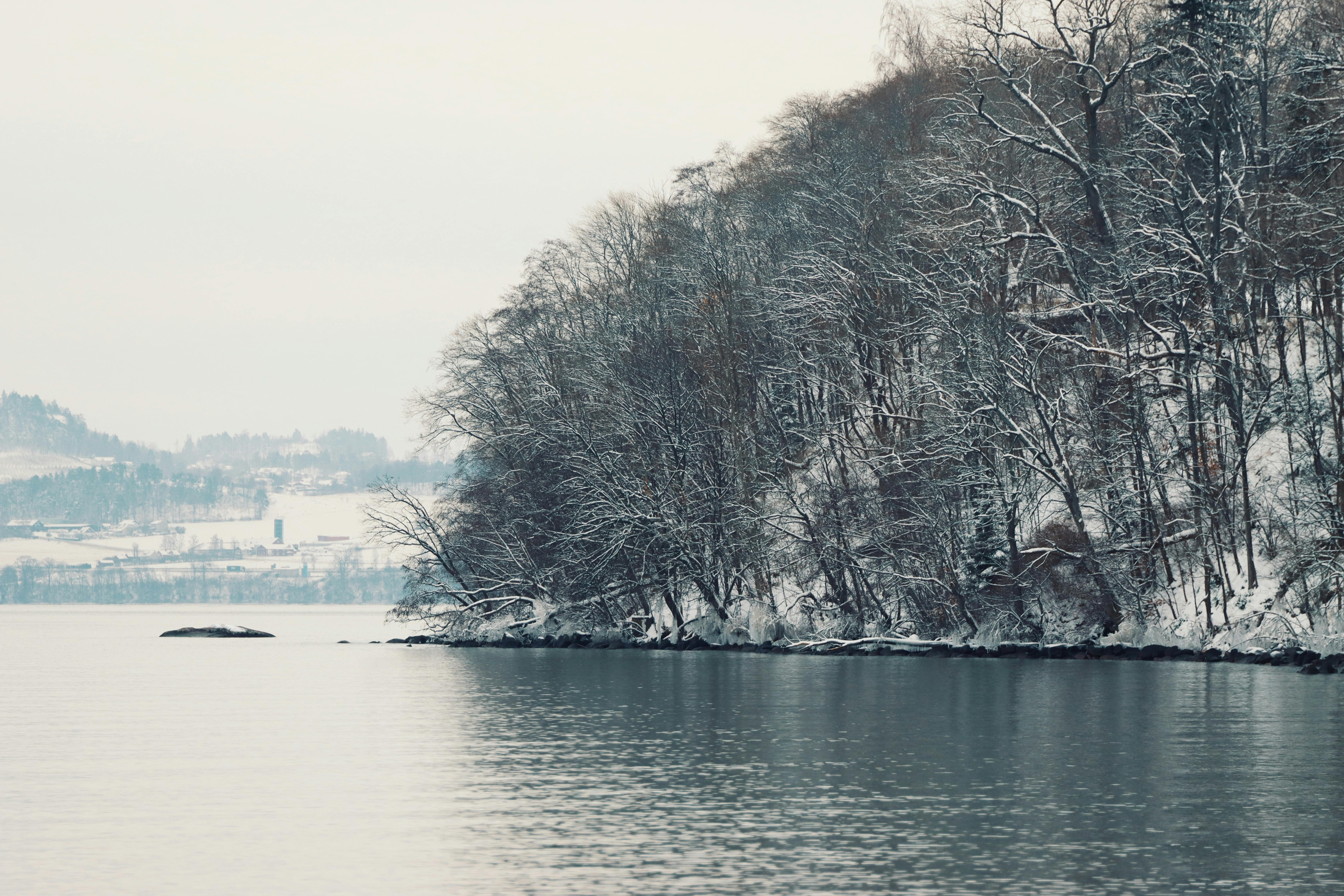 UK December Snowstorm Weather: What to Expect This Winter? 1 December Snowstorm Forecast: What UK Residents Need to Prepare for This Winter 2023
