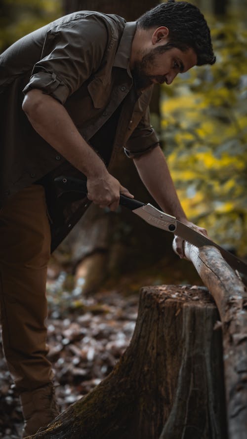 Lumberjack Cutting a Log on a Stump