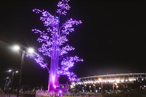 Fotos de stock gratuitas de arquitectura, escultura, estadio