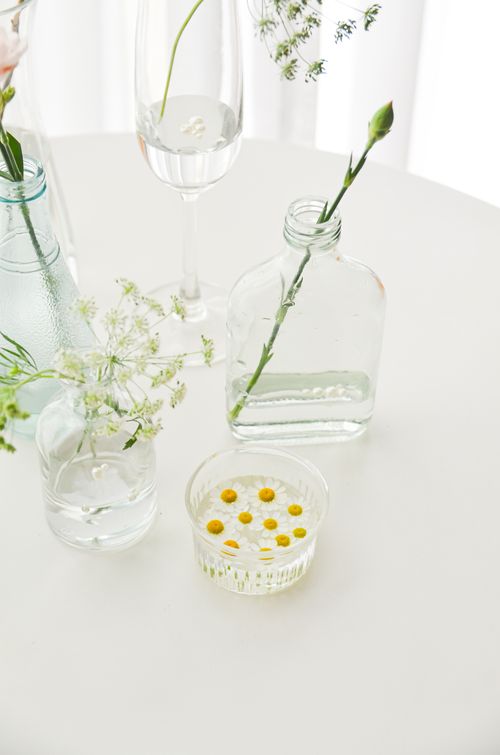 Free Elegant floral display in glass vases with water, creating a fresh and minimalist vibe. Stock Photo