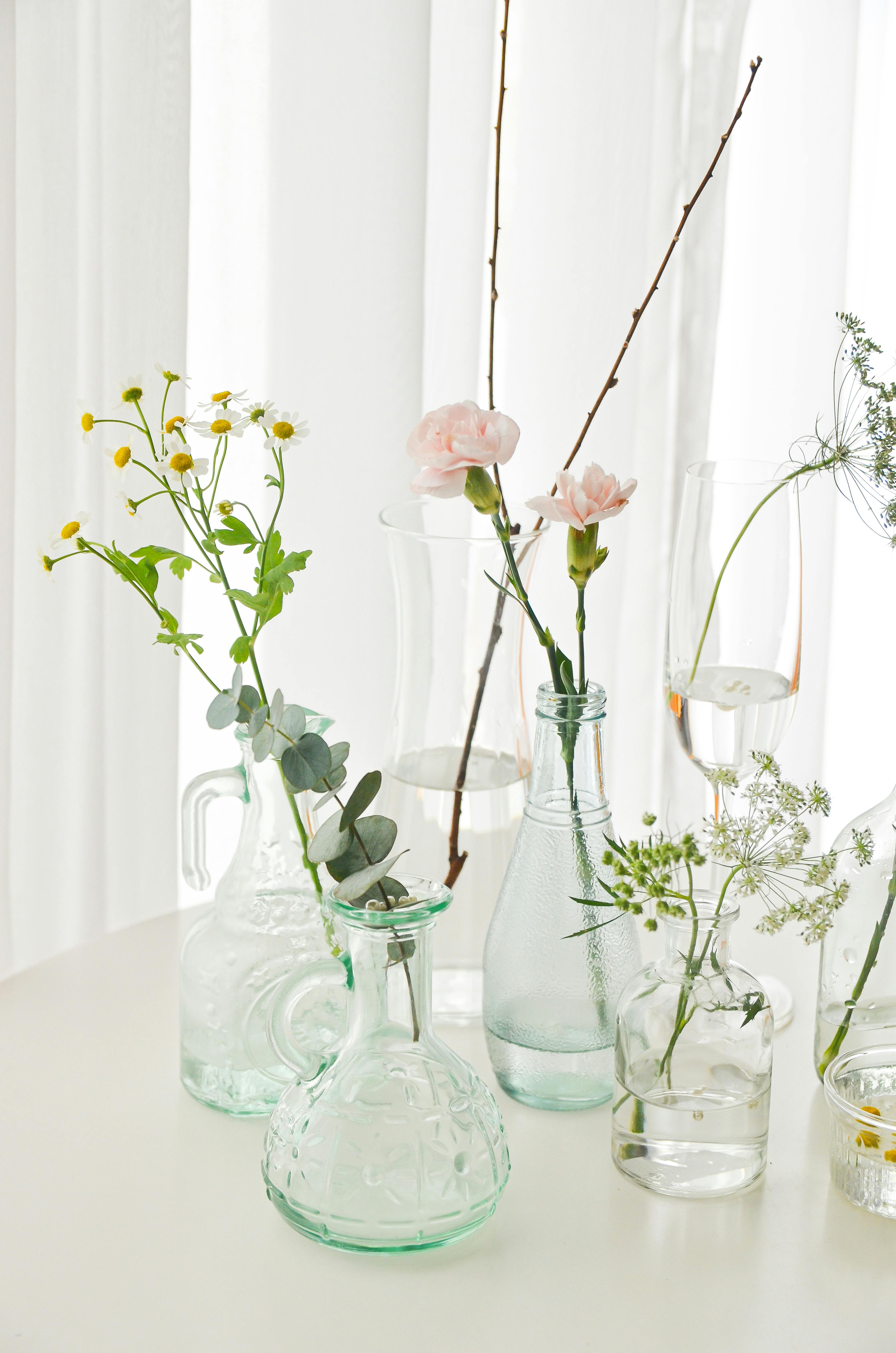 Delicate floral stems in clear glass vases create a minimalist and fresh arrangement.
