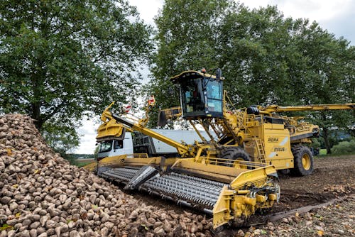 Gratis stockfoto met bieten, boerderij, gereedschap