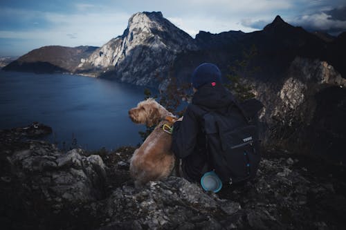 A Person Sitting on a Rocky Mountains with a Dog and Looking at the View 