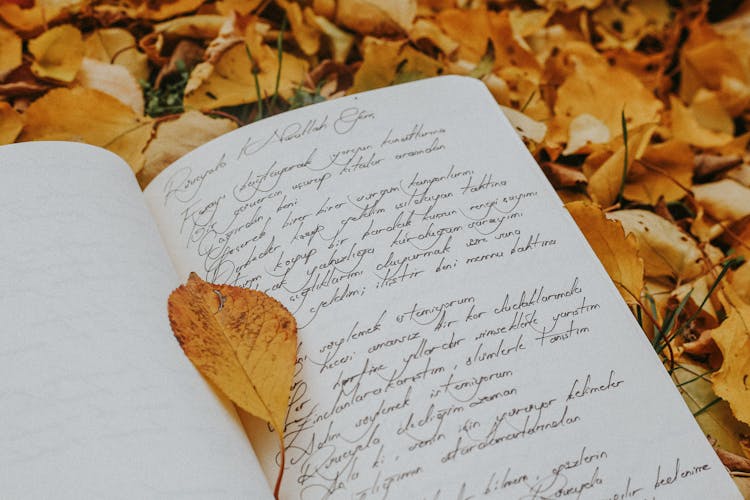 Autumn Leaf On Open Notebook