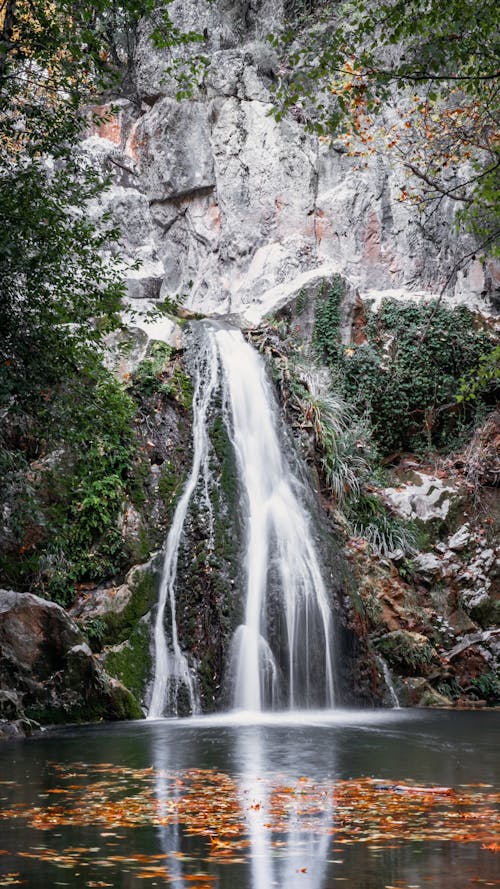 Бесплатное стоковое фото с водопад, осень, природа