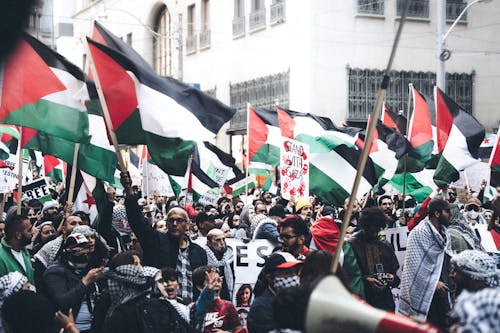 Darmowe zdjęcie z galerii z demonstracja, flagi palestyńskie, frustracja