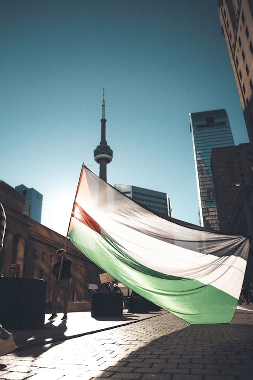 Immagine gratuita di bandiera palestinese, centro città, città
