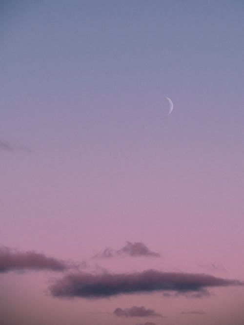 Free Moon on the Purple Sky Stock Photo