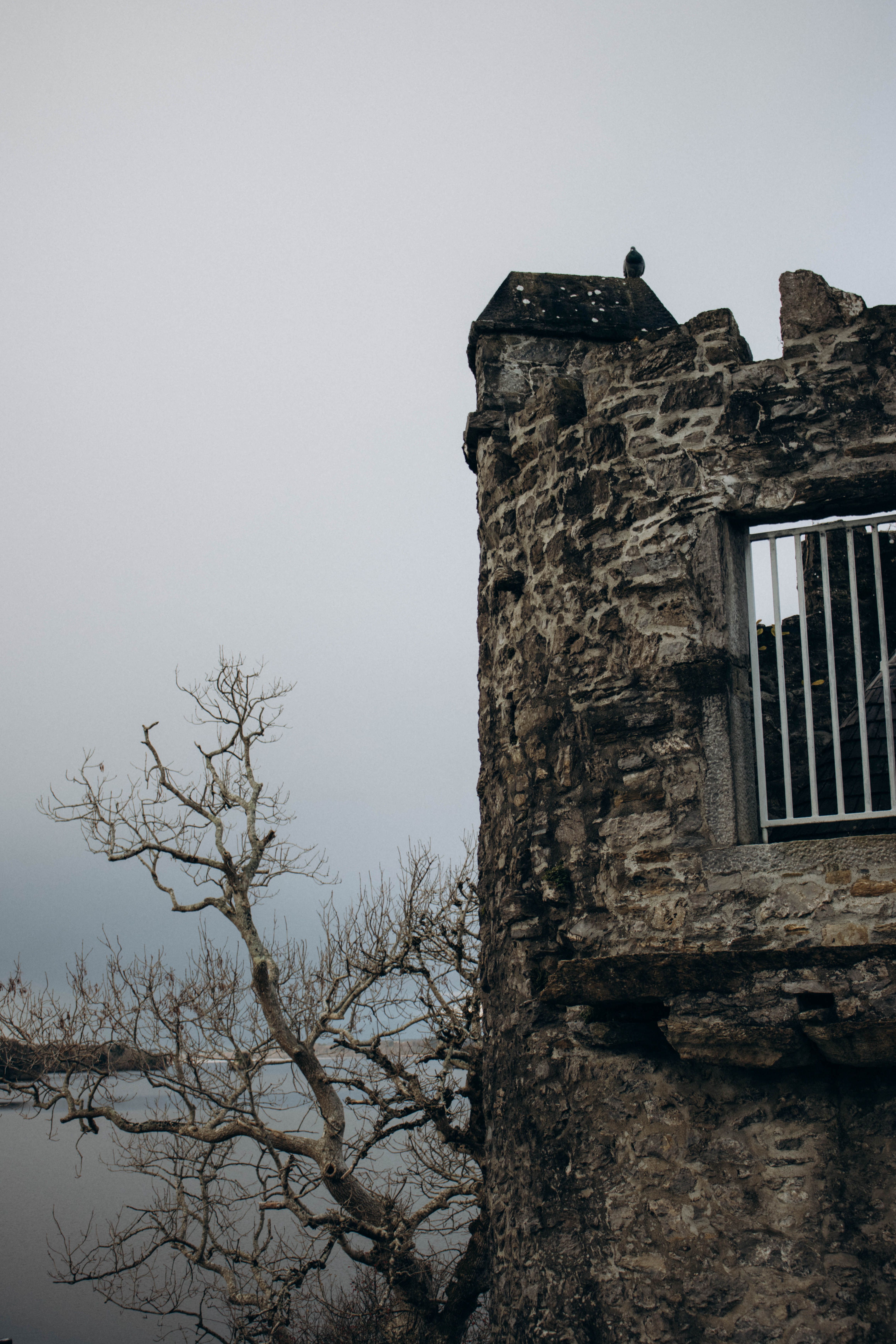 A rugged stone tower rises beside a calm river, framed by a barren tree against a cloudy sky.
