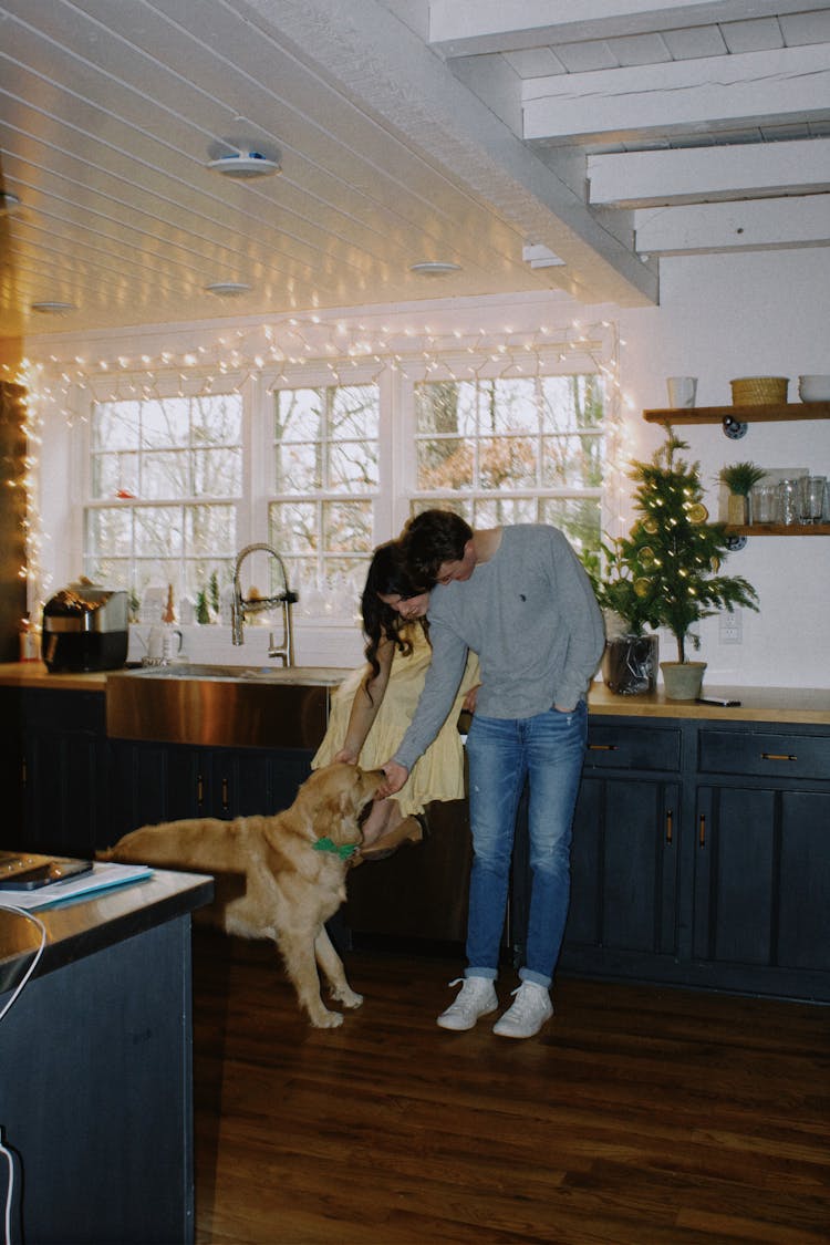 Young Couple With Dog In The Kitchen Decorated For Christmas