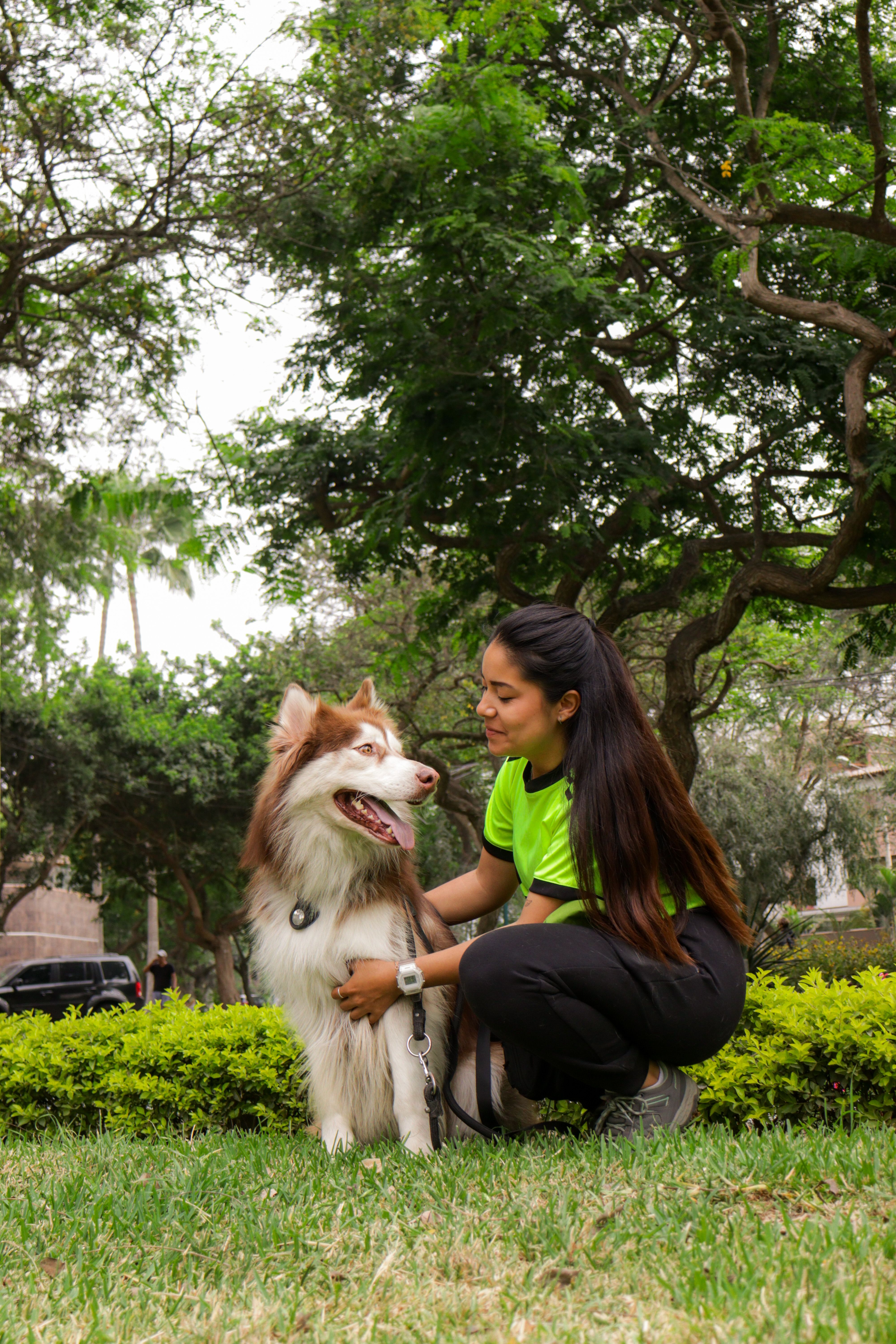 Vínculo y cuidado entre humano y perro