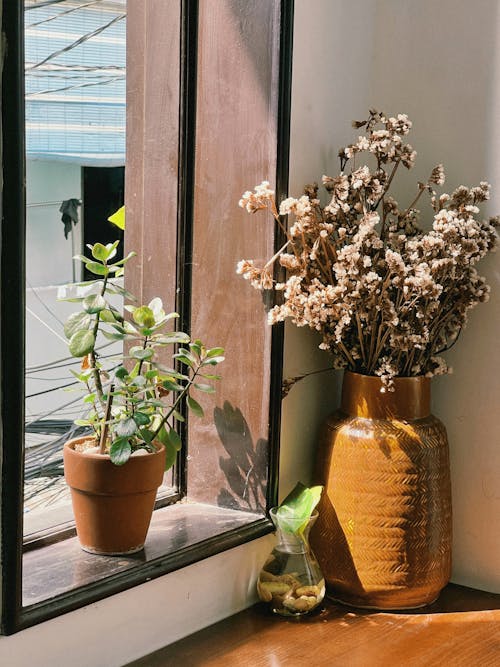 Potted Plant Next to a Vase with Dried Flowers