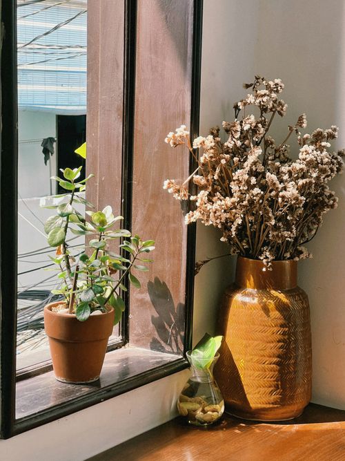 Free Sunlit window with dried flowers in a vase and a potted plant, creating a cozy atmosphere. Stock Photo