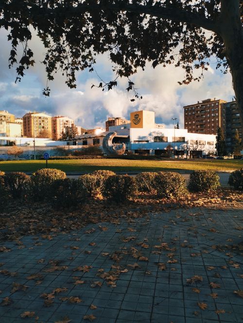 Free City park scene in autumn with fallen leaves and distant buildings under cloudy sky. Stock Photo