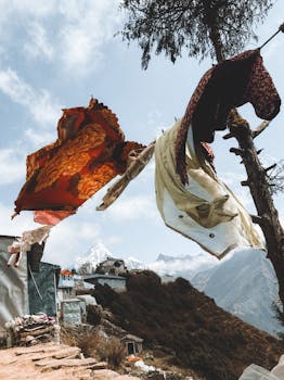 Image by Marina Zvada