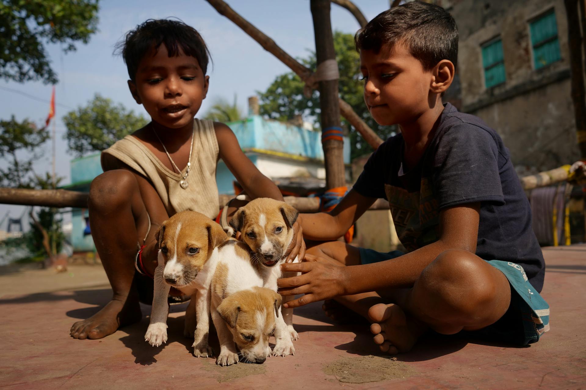 Boys Sitting with Puppies