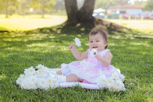 Baby in a Pink Dress Playing with Flowers Sitting on a Blanket in the Shade of a Tree