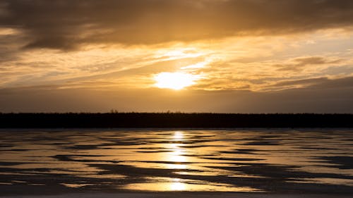 Setting Sun Reflecting in the Wetlands Near the Forest