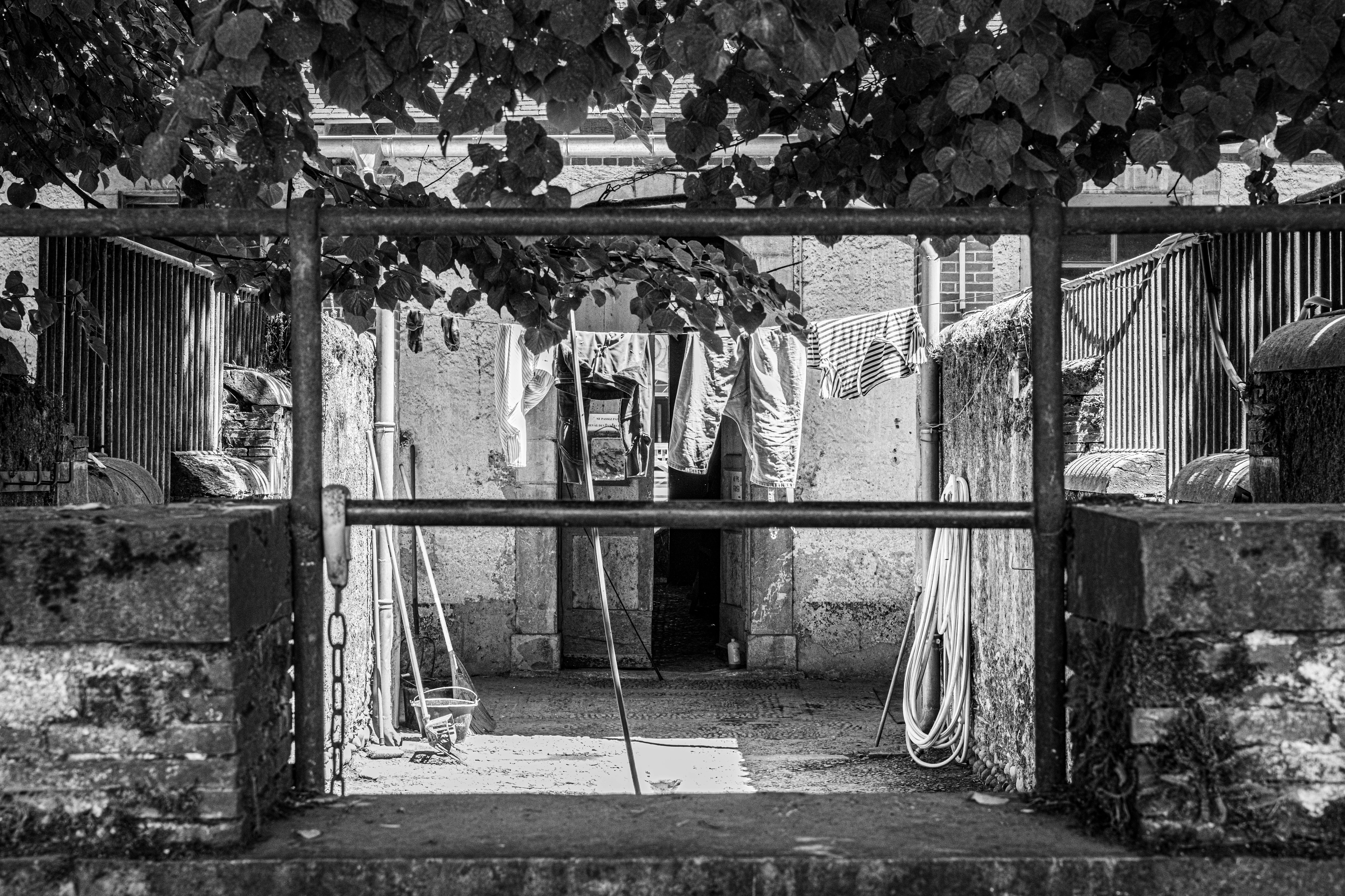 Clothes Drying Place Photos, Download The BEST Free Clothes Drying