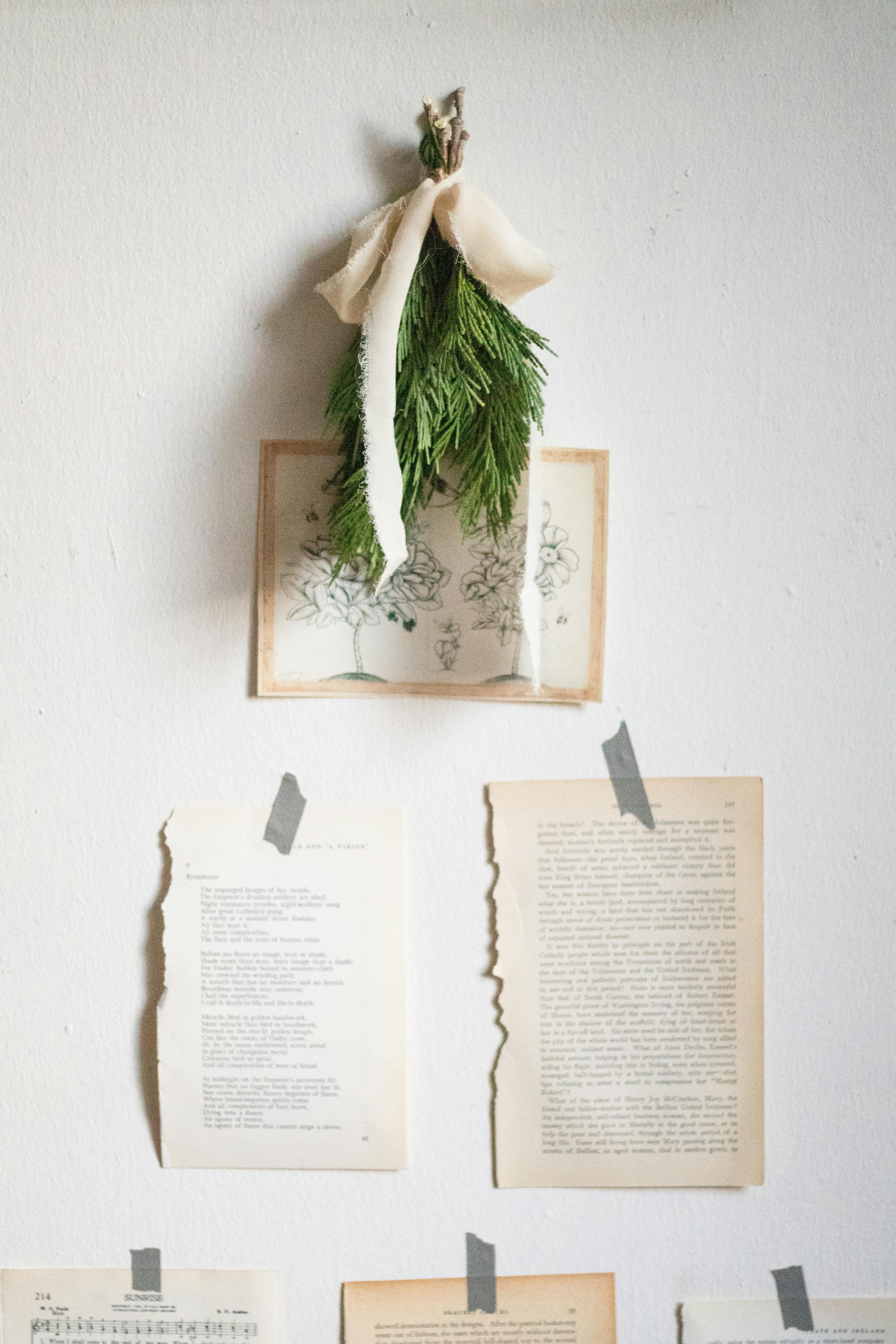 a wall with books and pine branches hanging from it