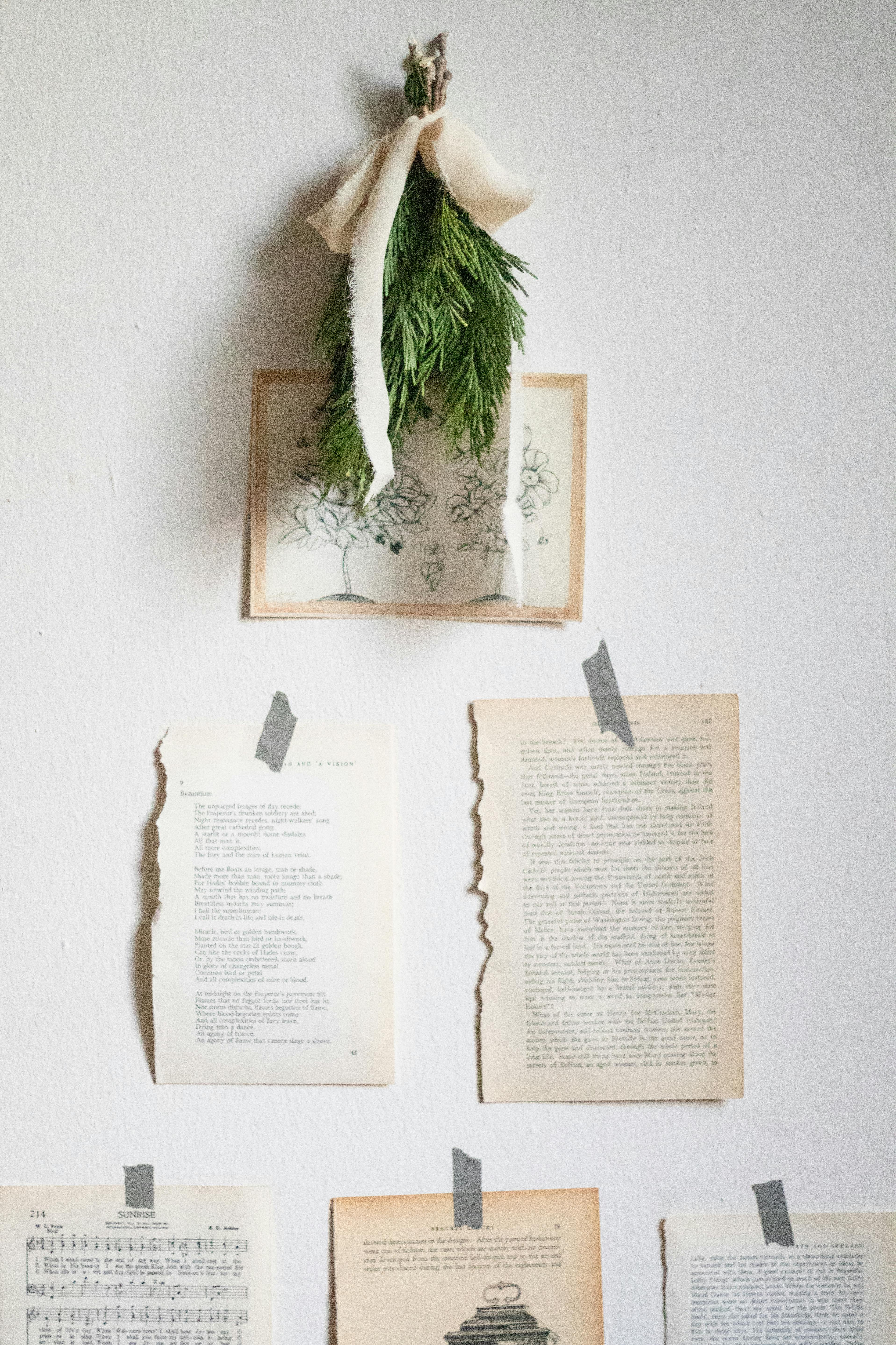 a wall with books and pine branches hanging from it