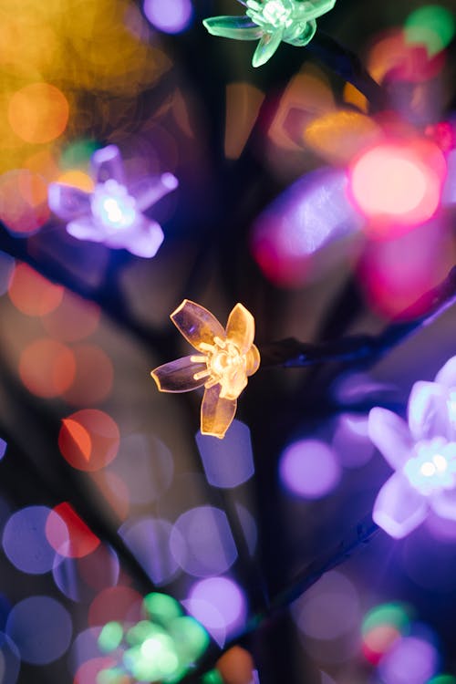 Close Up of Christmas Lights