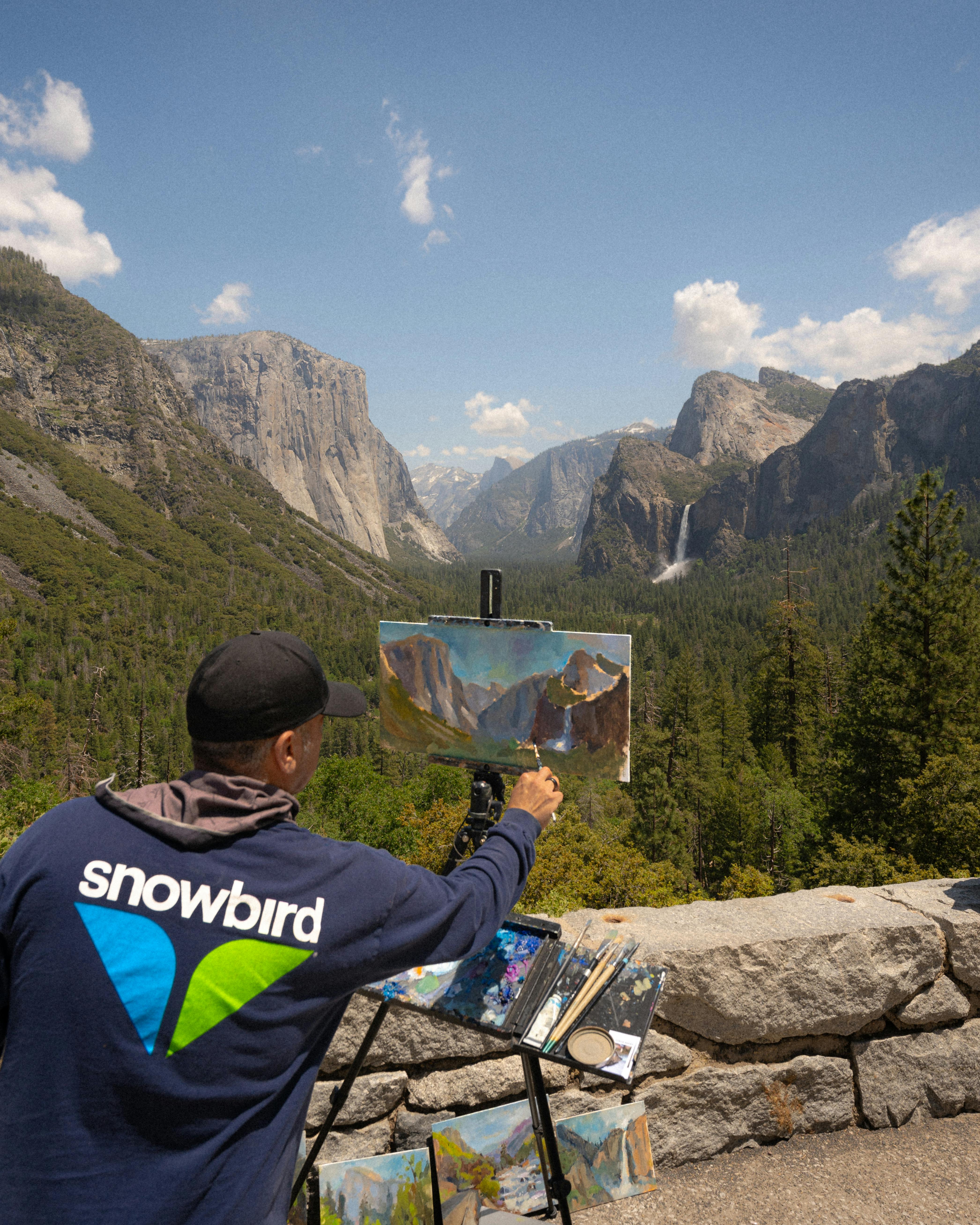 yosemite artist