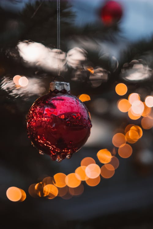 Red Bauble on a Christmas Tree 