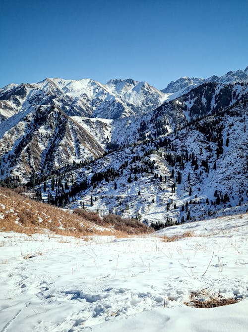Scenic View of the Mountains in Winter 