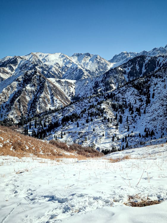 Scenic View of the Mountains in Winter 