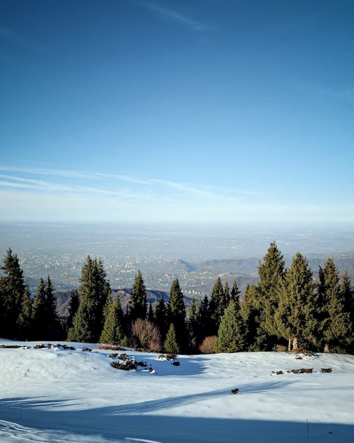 Free Snow-covered hillside overlooking Almaty city with conifer trees in winter. Stock Photo
