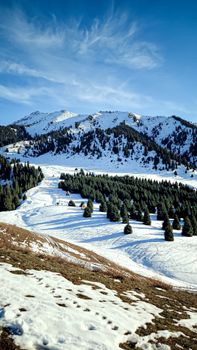 Scenic winter landscape of snow-covered mountains and forests in Almaty, Kazakhstan.