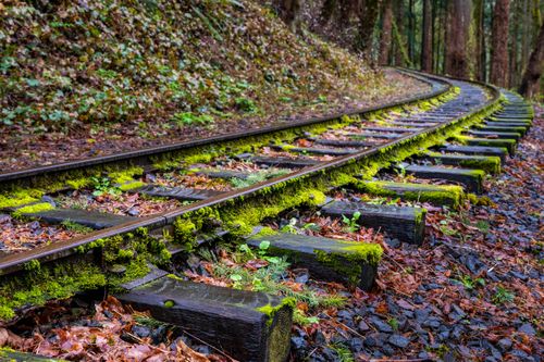 Free Abandoned railway tracks with lush moss enhance the natural forest vibe. Stock Photo