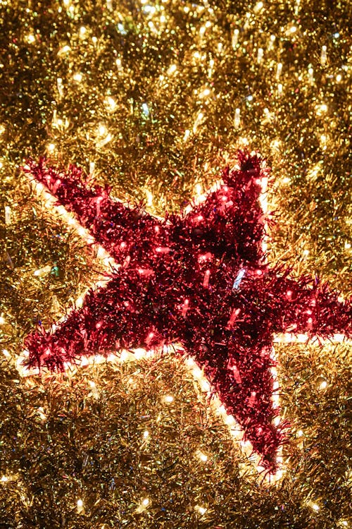 Christmas Decoration with Red Star and Lights