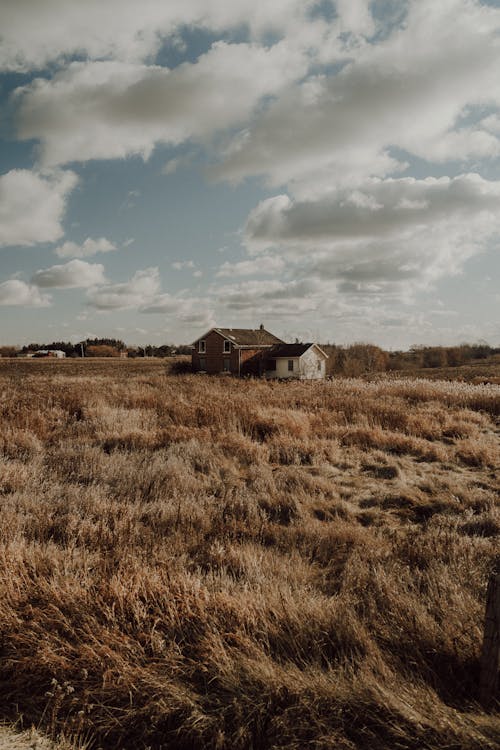 Darmowe zdjęcie z galerii z badać, chmura, fotograf