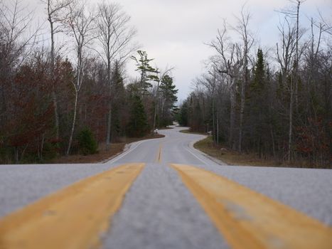 A winding rural road with yellow lines through a bare winter forest, offering a serene countryside view.