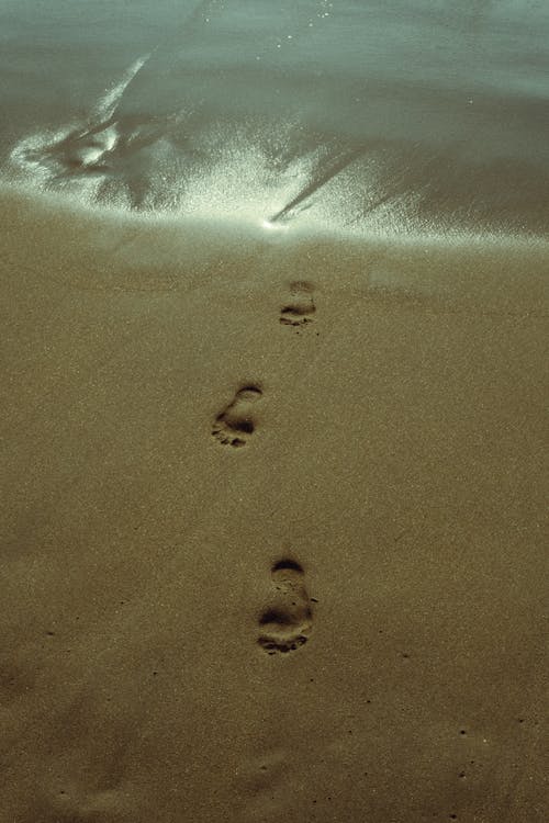 Footprints across Wet Sand on Beach