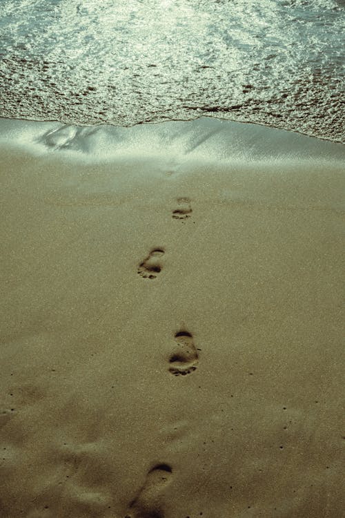 Waves Reaching Footprints in Wet Sand