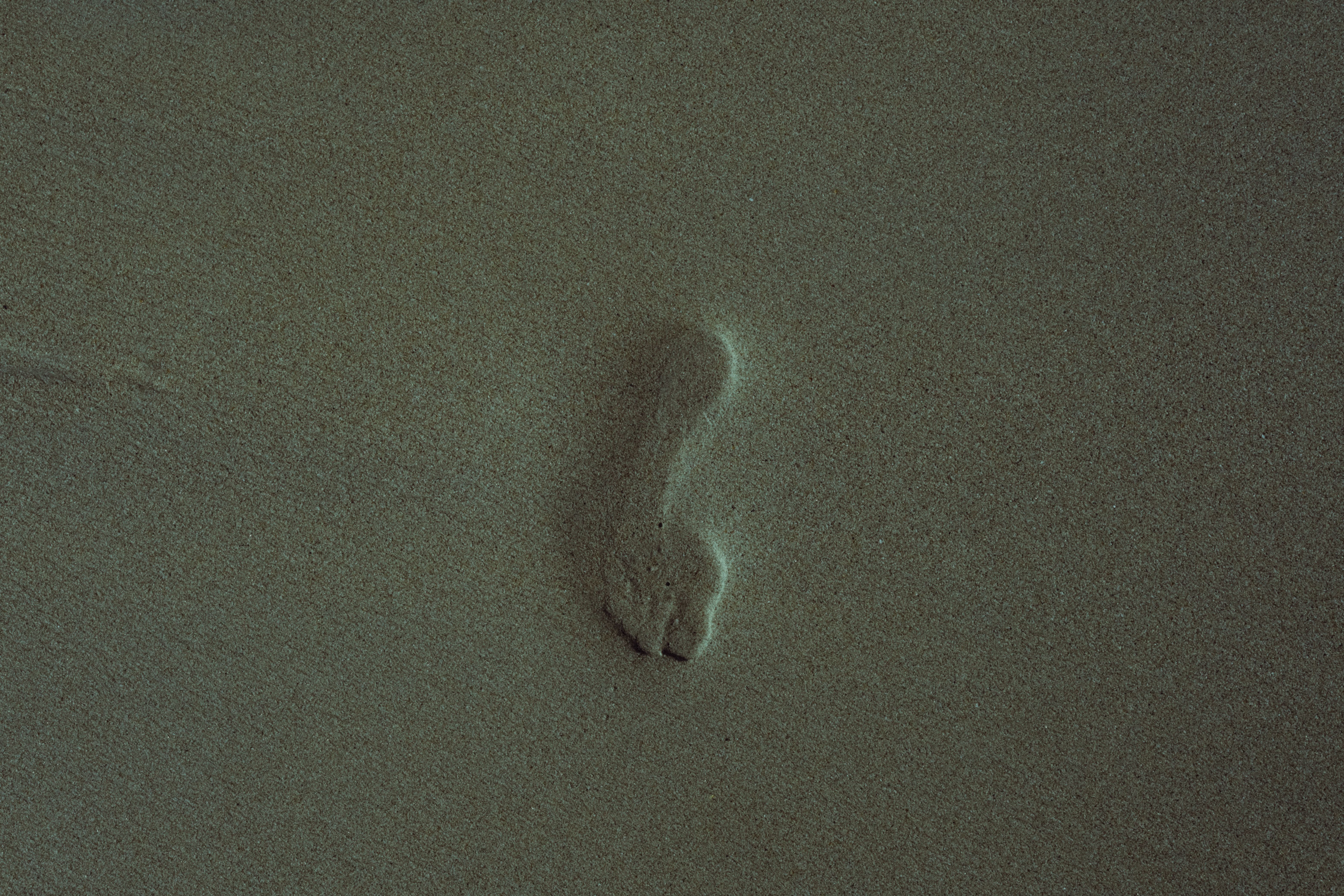 image of the wet footprint test showing a full foot impression for flat feet - best insoles for flat feet walking