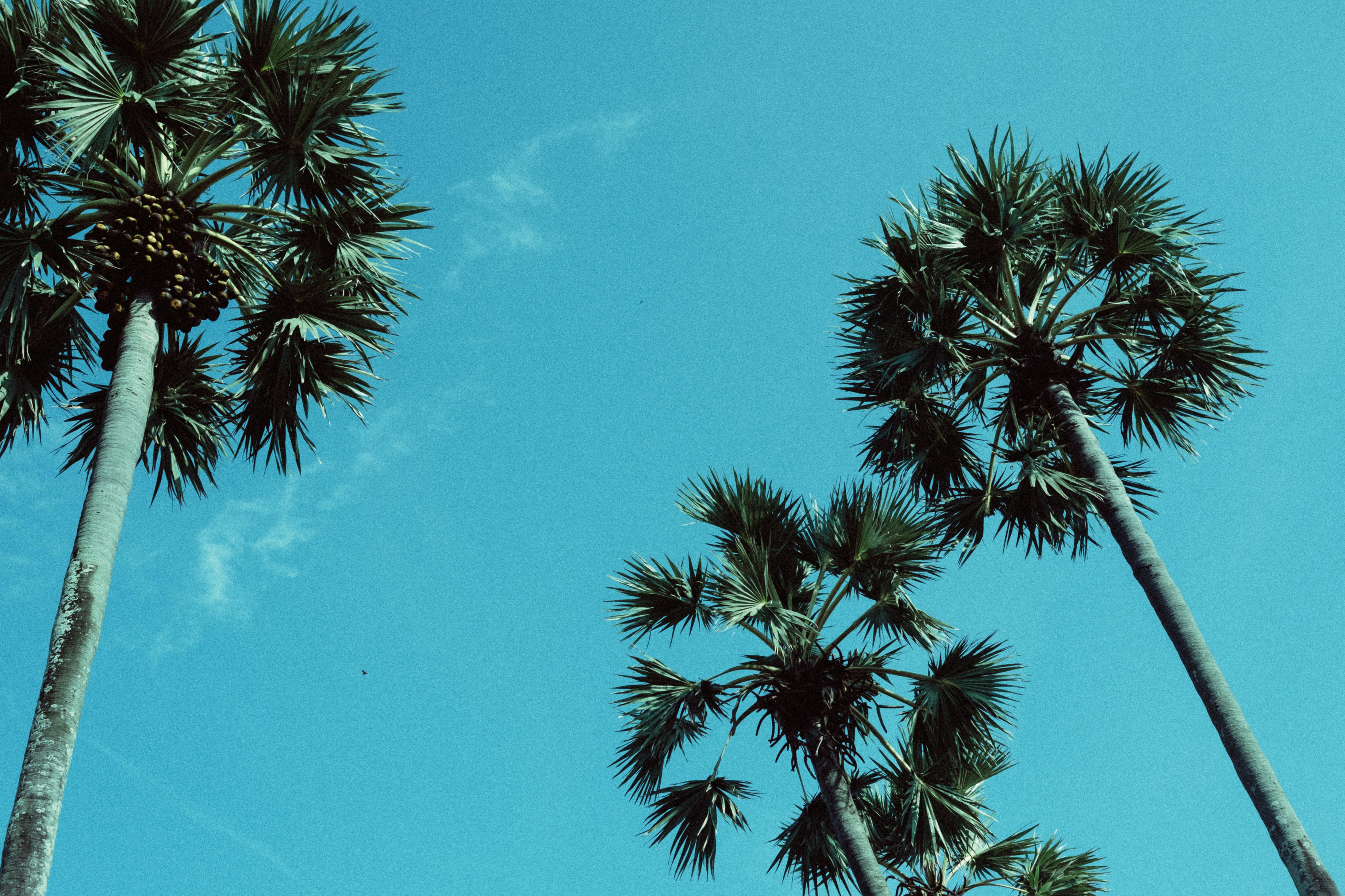 借款合同违约金合法的标准是什么