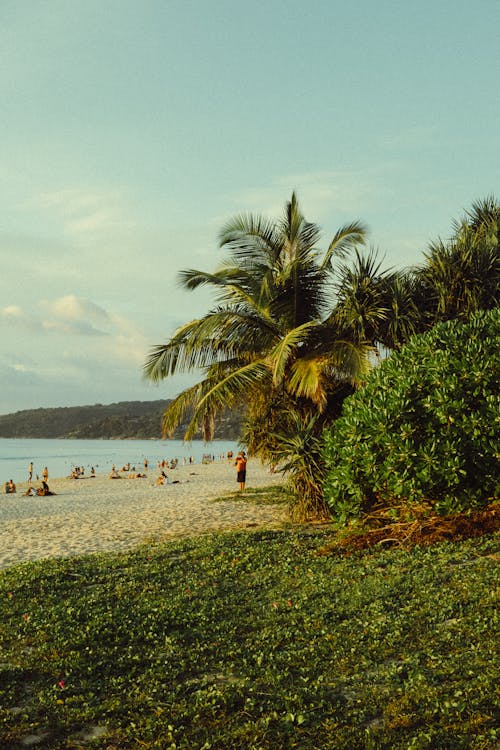 A Tropical Beach