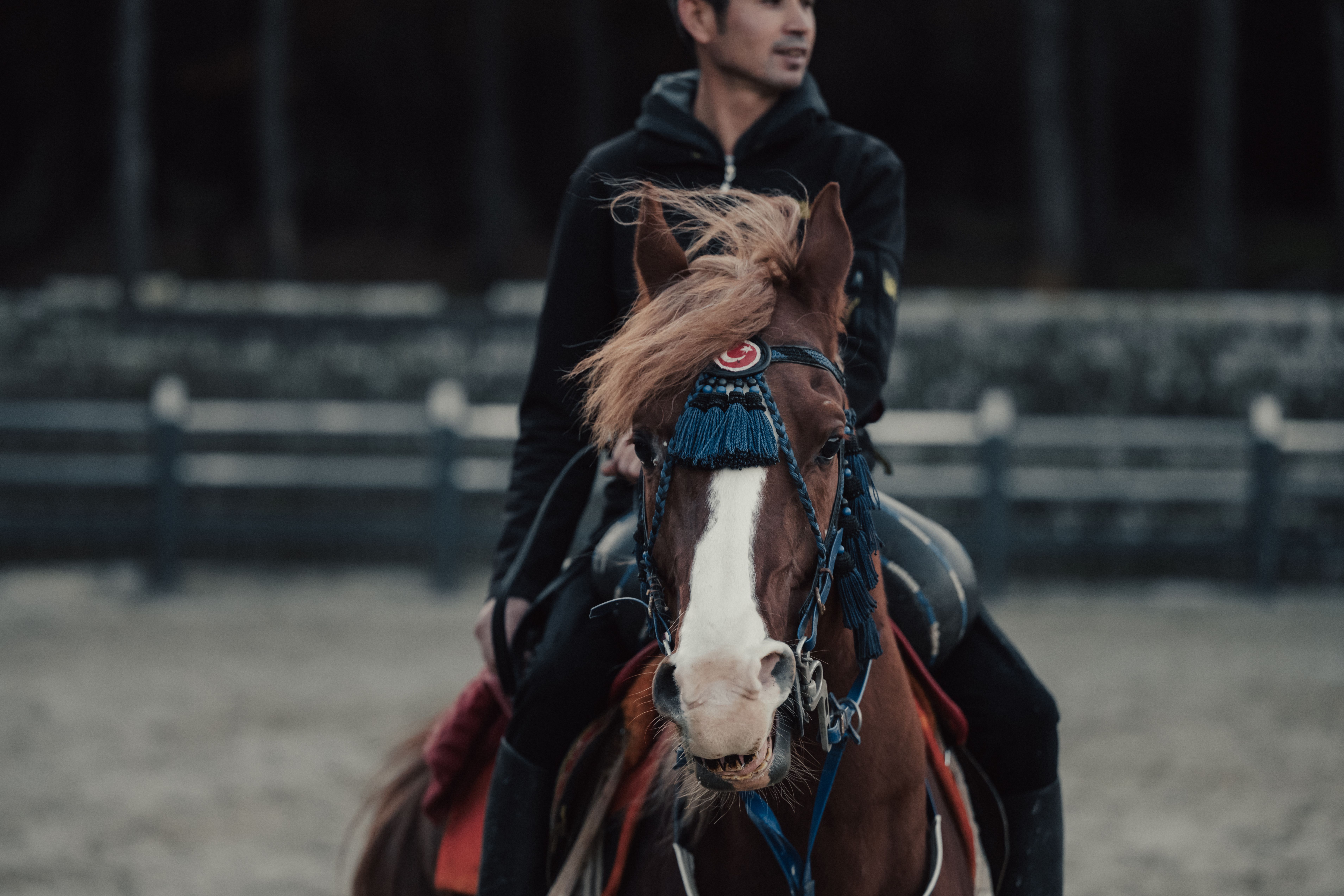 A man riding a horse in a field · Free Stock Photo