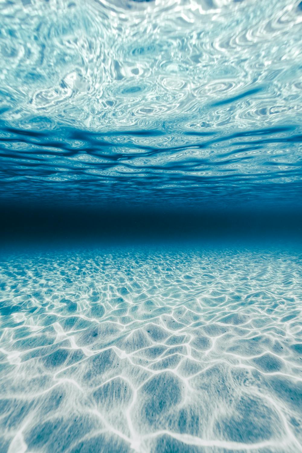 Underwater Landscape · Free Stock Photo