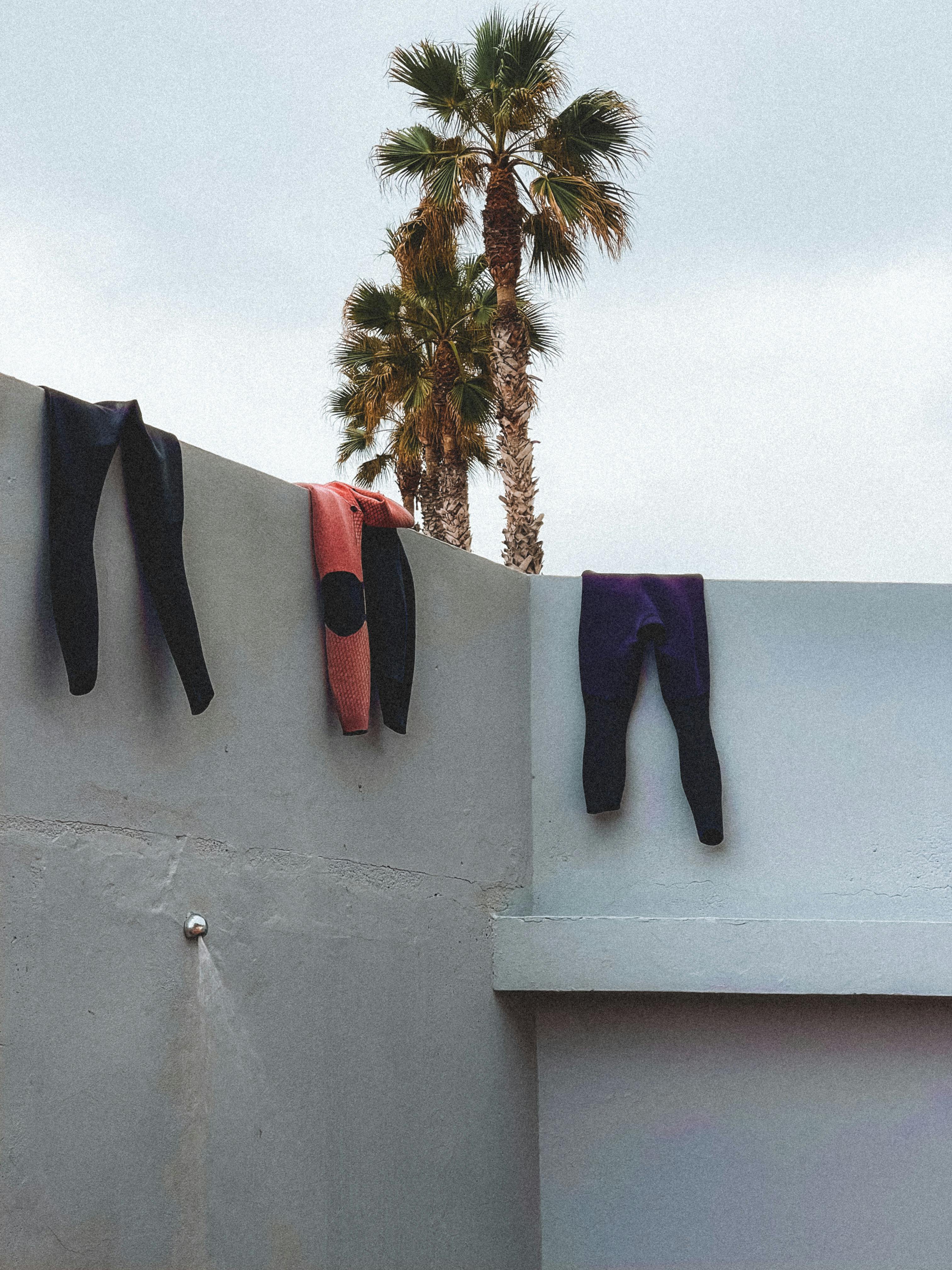 Wetsuits hang casually on a wall with palm trees in the background, capturing a laid-back vibe in Madeira.