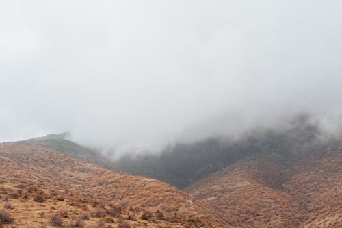 Mountain Valley in Fog 
