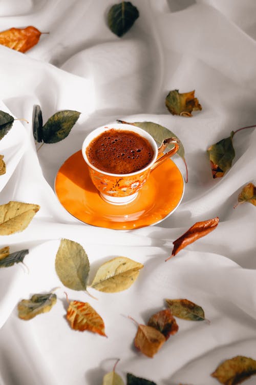 Floral Porcelain Cup of Coffee on a Saucer Among Autumn Leaves