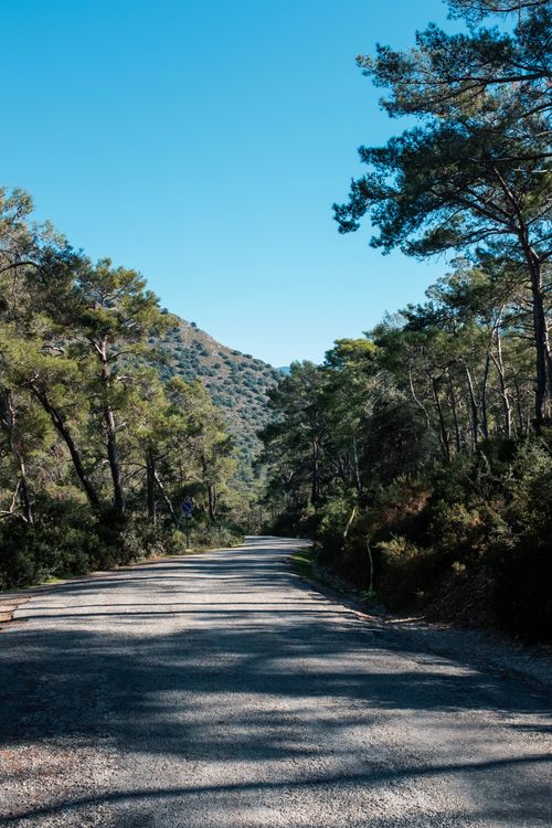 Free A tranquil road winding through the lush forests of Fethiye, Türkiye, under a clear blue sky. Stock Photo