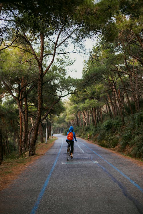 Person Cycling on Empty Road in Forest